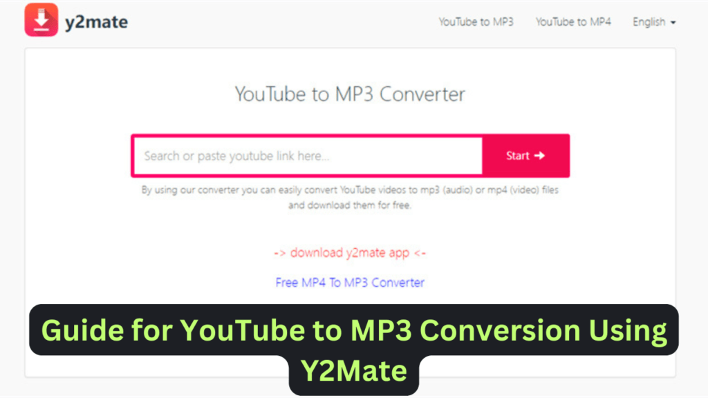 Guide for YouTube to MP3 Conversion Using Y2Mate