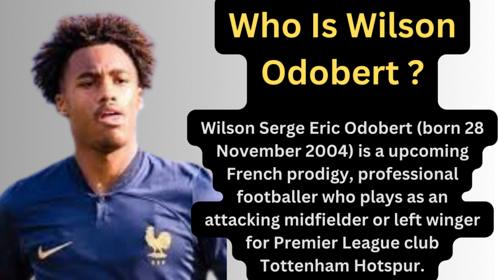 Wilson Odobert The Upcoming French Football Prodigy