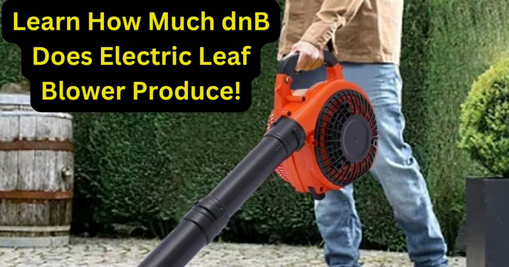 Learn How Much dnB Does Electric Leaf Blower Produce!