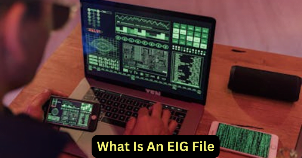 What Is An EIG File